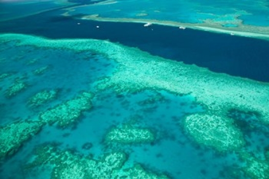 Australia Whitsunday Coast Great Barrier Reef Horizontal Poster Print by Walter Bibikow - 26 x 18 in.