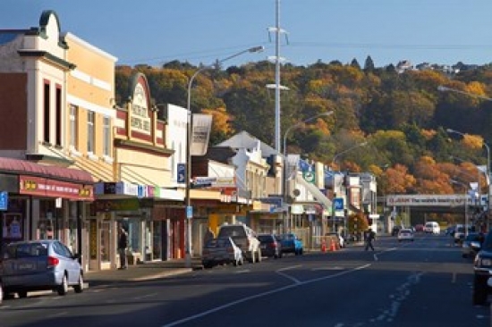 PDDAU02DWA6989 Shops on King Edward Street Autumn Dunedin South Island New Zealand Poster Print by David Wall