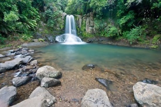 New Zealand North Island Coromandel Peninsula Waiau Falls Poster Print by Rob Tilley - 37 x 25 in.