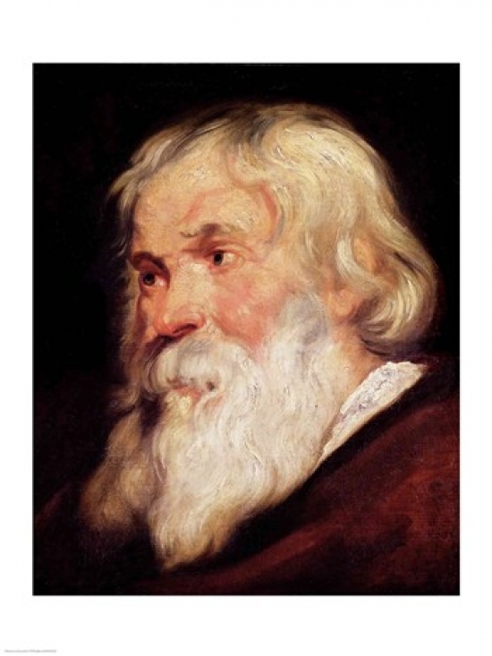 Head of An Old Man Poster Print by Peter Paul Rubens - 24 x 36 in. - Large