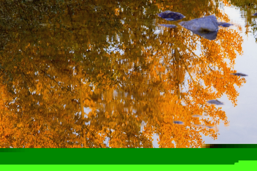 Autumn Reflections Poster Print by Carson Ganci - 17 x 11