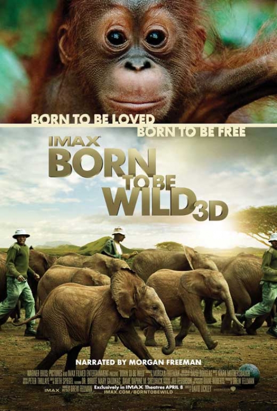 MOVGB26783 Born to Be Wild Movie Poster - 27 x 40 in.