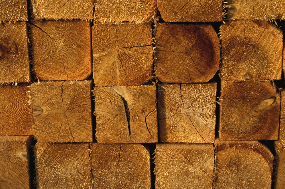 Stack of Logs Poster Print by David Chapman, 34 x 22 - Large