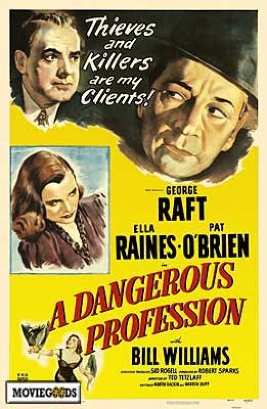 Dangerous Profession Movie Poster - 27 x 40 in.
