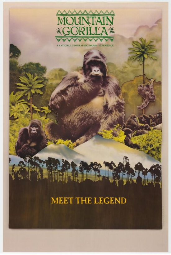Mountain Gorilla Imax Movie Poster - 27 x 40 in.
