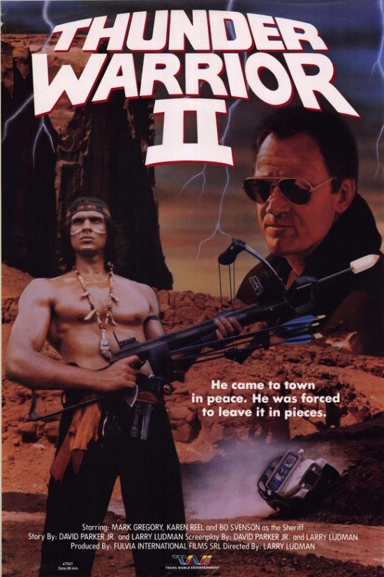 Thunder Warrior 2 Movie Poster 27 x 40 in.