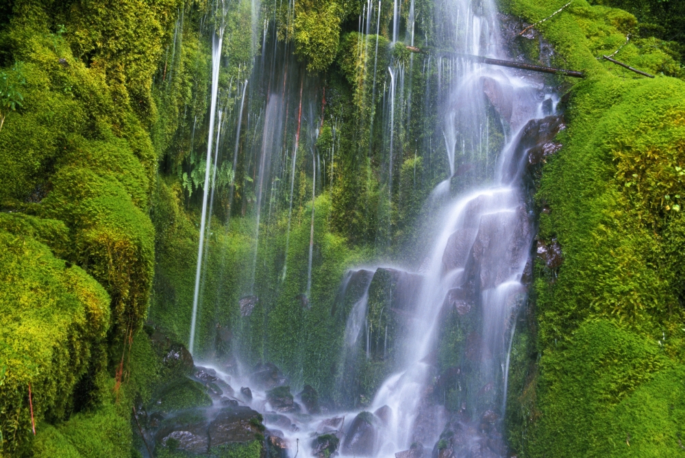 Waterfall Over Moss-Covered Rocks Poster Print by Natural Selection Craig Tuttle - 18 x 12