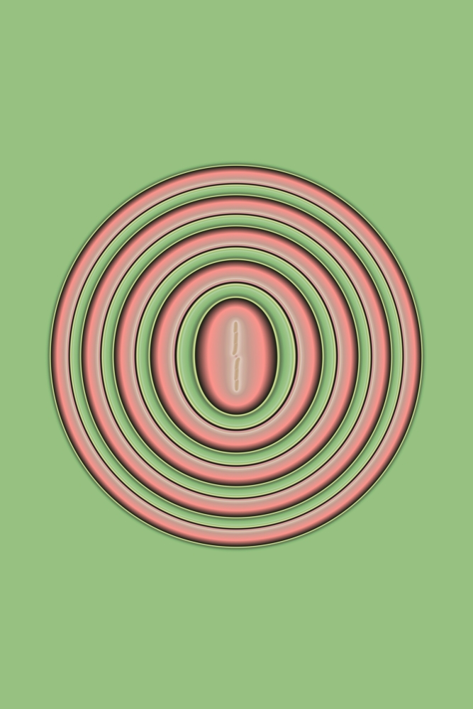 Concentric Circles Poster Print by Paul Sale, 26 x 38 - Large