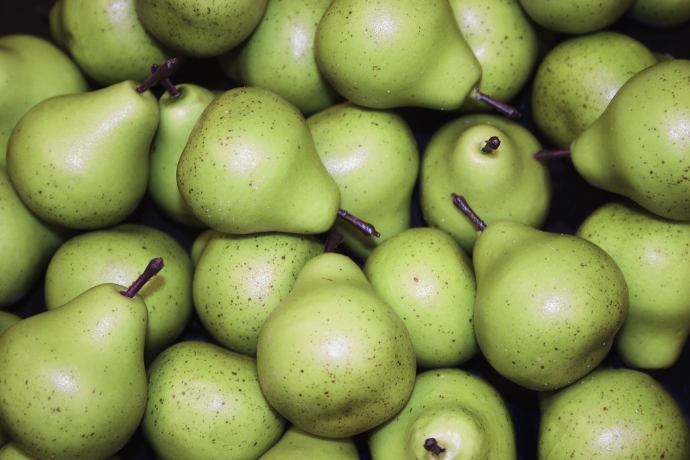 Pears Background Poster Print by Daniel Sicolo, 17 x 11