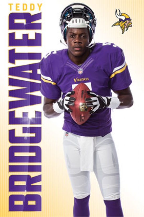 Minnesota Vikings - T Bridgewater 14 Poster Print