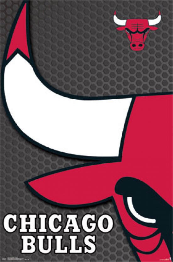 Chicago Bulls - Logo 2014 Poster Print