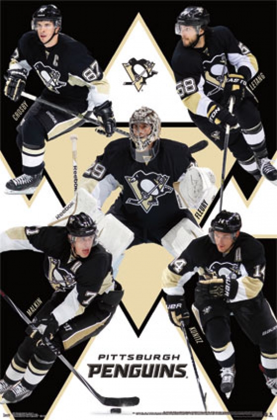Pittsburgh Penguins - Group 14 Poster Print