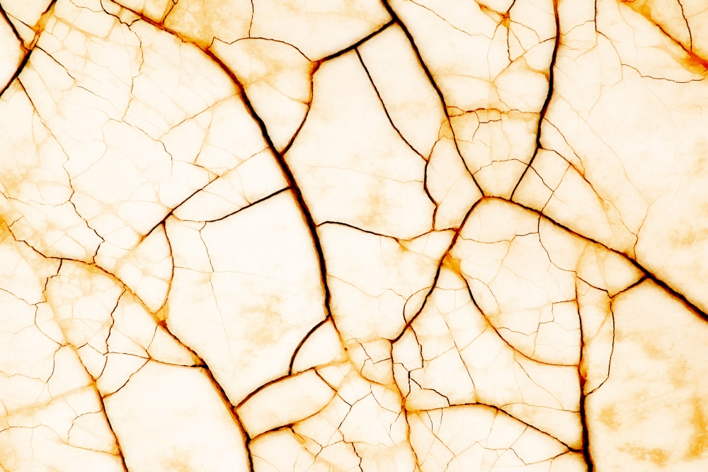 Cracked Surface Poster Print by Corey Hochachka 17 x 11