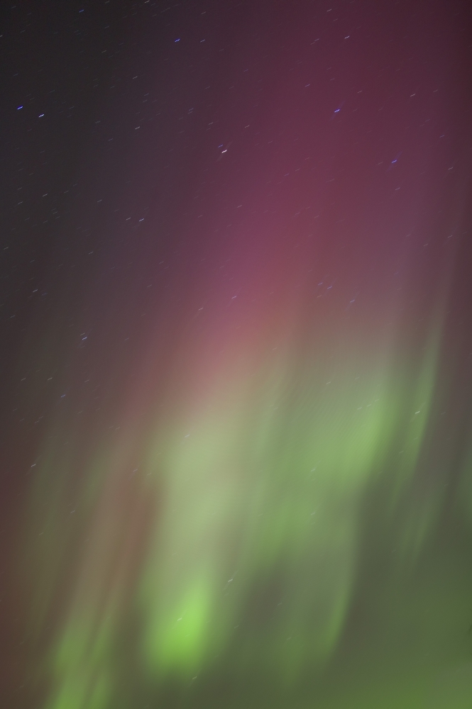 DPI1771361LARGE Northern Lights Edmonton Alberta Canada Poster Print by Carson Ganci, 22 x 34 - Large