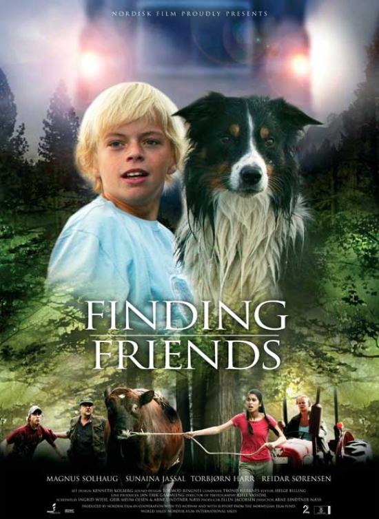 Finding Friends Movie Poster - 27 x 40 in.