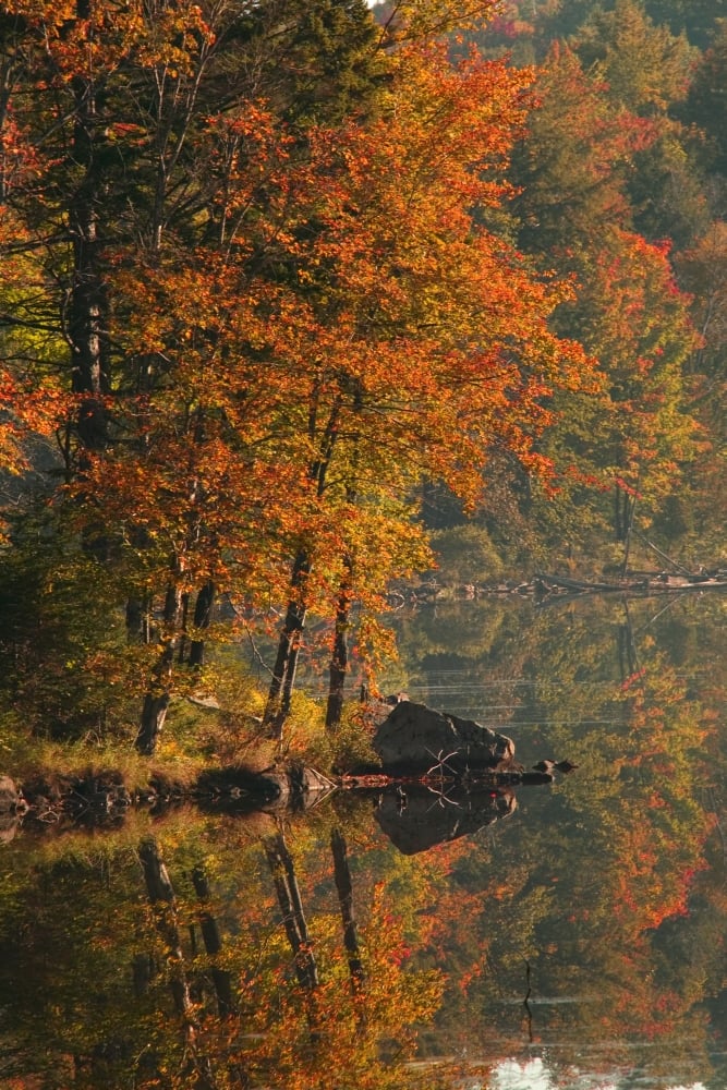 Autumn Scenic Poster Print by Alan Marsh, 24 x 36 - Large