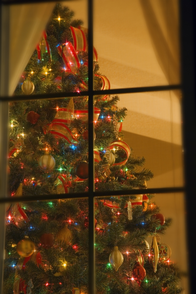 DPI1782529 Looking At Indoor Christmas Tree Through Window Poster Print by Carson Ganci, 11 x 17