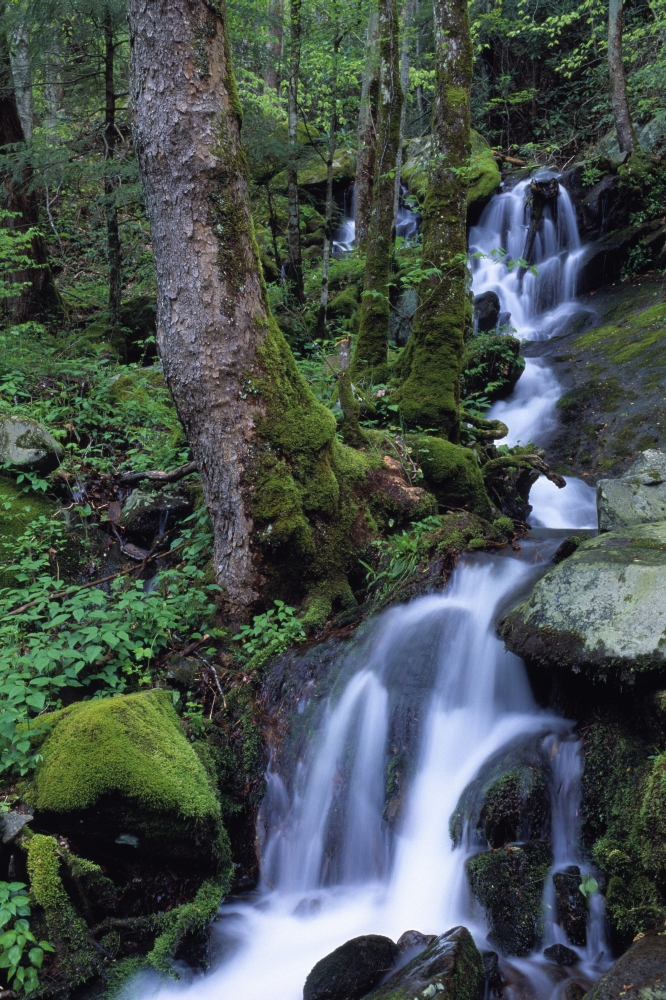 Waterfall Pouring Down Mountainside Poster Print by Natural Selection Robert Cable - 12 x 18