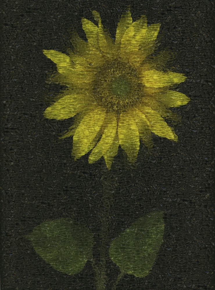Sunflower Poster Print by Deddeda - 12 x 16