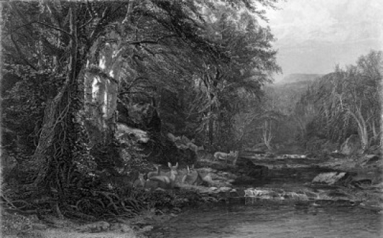 The Adirondack Woods Ca.1874 James Mcdougal Hart 1828-1901 American Etching Poster Print - 18 x 24 in.