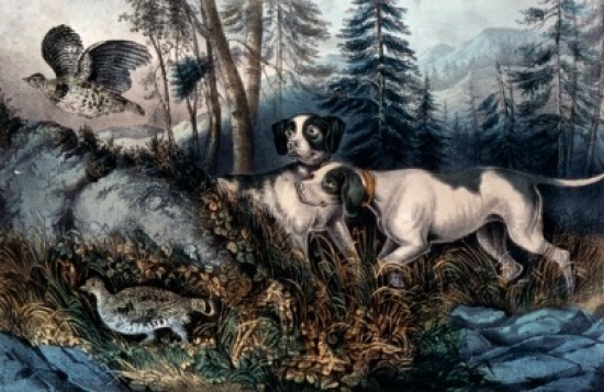 Partridge Shooting Currier & Ives Color Lithograph 1857-1907 USA Washington DC Library of Congress Poster Print - 18 x 24 in.