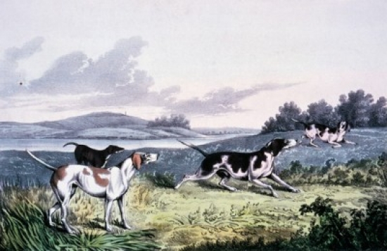 SAL9001270 Pointers Currier & Ives Color Lithograph 1857-1907 Washington D.C. Library of Congress Poster Print - 18 x 24 in.