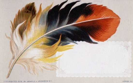 Feather Nostalgia Cards Poster Print - 18 x 24 in.