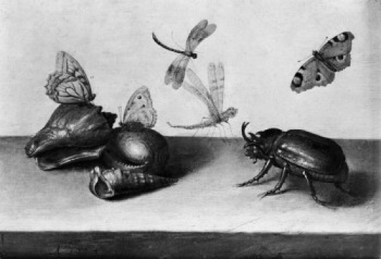 Still Life with Insects by Margaretha de Heere Poster Print - 18 x 24 in.