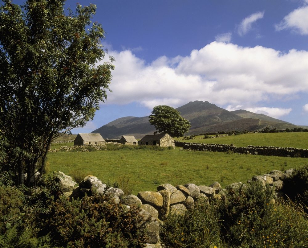 DPI1796938 Cottages On A Farm Near The Mourne Mountains County Down Ireland Poster Print by The Irish Image Collection, 15 x 12