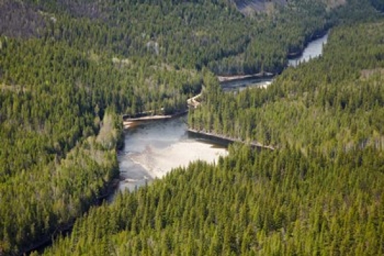Clearwater River & Valley Wells Gray British Columbia Poster Print by David Wall - 29 x 19 in.