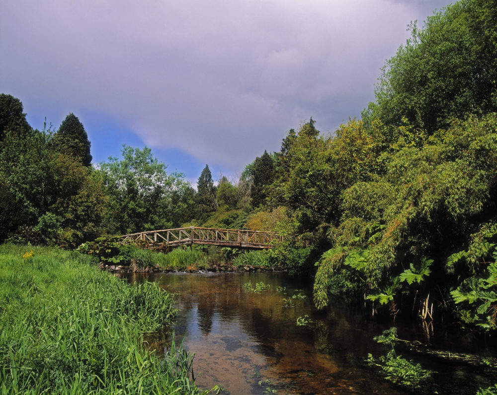 River Awbeg Annesgrove Castletownroche Co Cork Ireland - Bridge Over A River Poster Print by The Irish Image Collection, 32 x 24 - Large