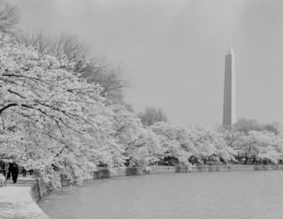 Washington Monument Poster Print - 18 x 24 in.