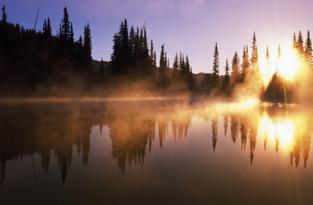 Sunbeams Through Mist On Lake Poster Print by Natural Selection Craig Tuttle - 36 x 24 - Large