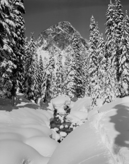 USA Cascade Mountains Stream After Heavy Snow Fall Poster Print - 18 x 24 in.