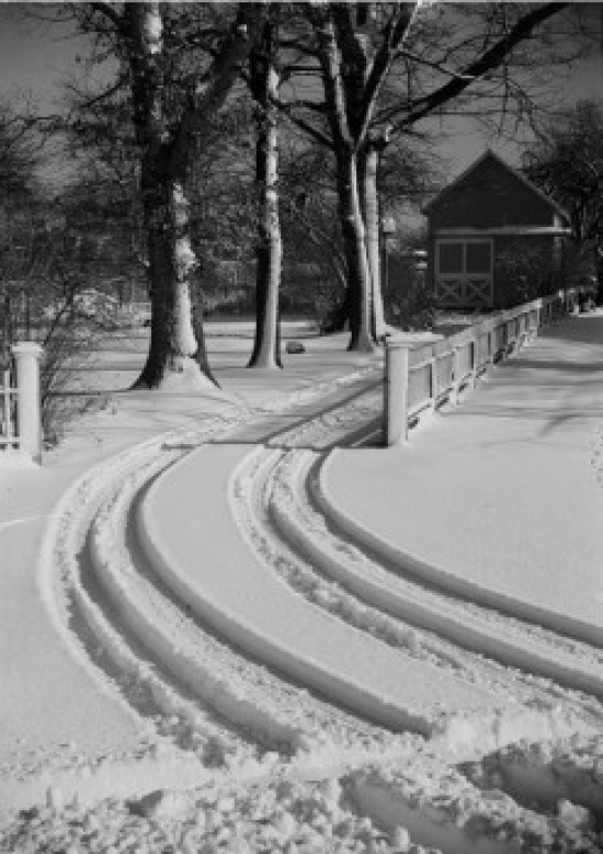 Car Tracks in Snow Poster Print - 18 x 24 in.