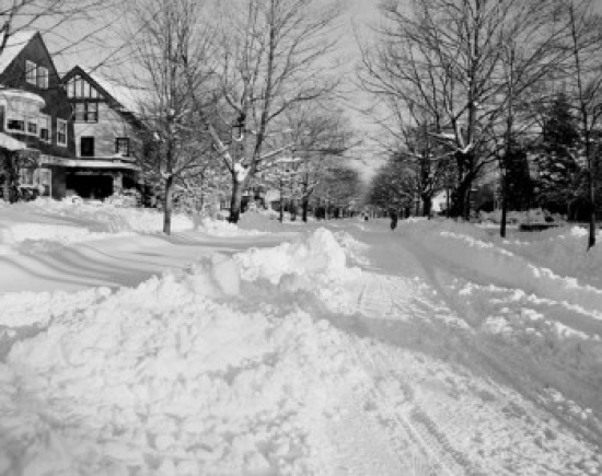 Suburban Winter Scene Poster Print - 18 x 24 in.