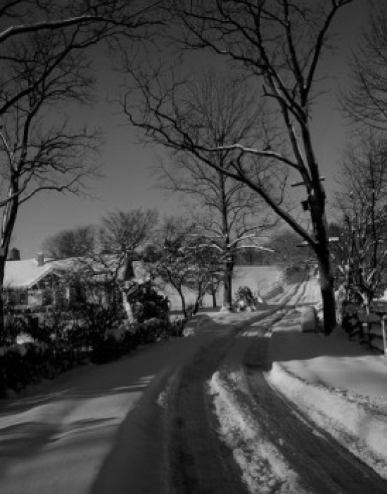 Rural Scene in Winter Poster Print - 18 x 24 in.