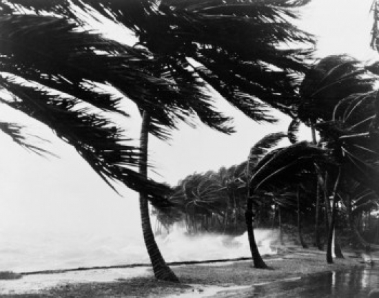 USA Florida Hurricane Poster Print - 18 x 24 in.