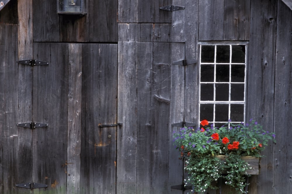 Wooden Building & Window Box Poster Print by David Chapman, 34 x 22 - Large