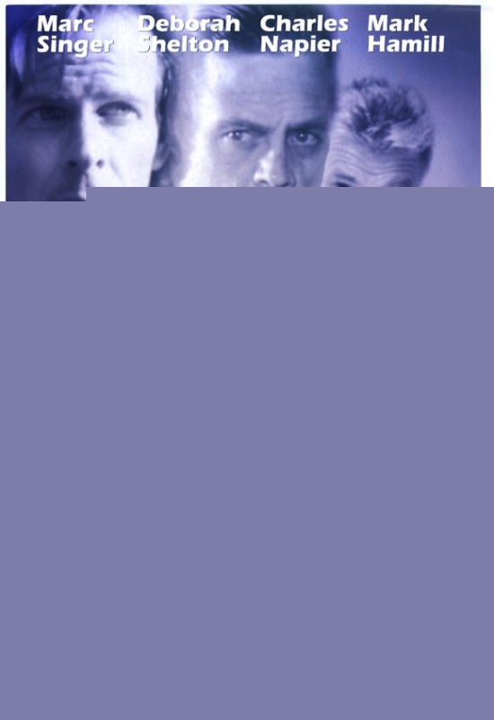 Silk Degrees Movie Poster - 27 x 40 in.