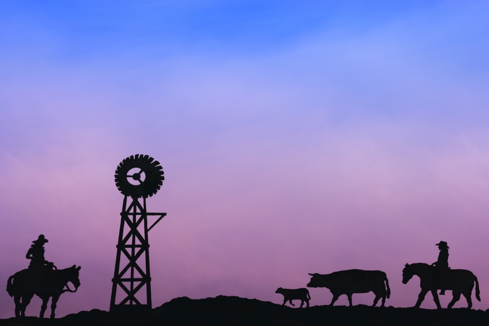 End of The Day At Cattle Round Up Southern Alberta Canada Poster Print by Carson Ganci, 17 x 11