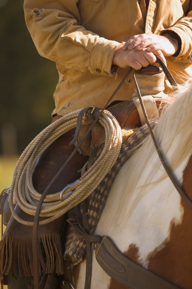 Cowboy & Lasso Poster Print by Carson Ganci, 22 x 34 - Large