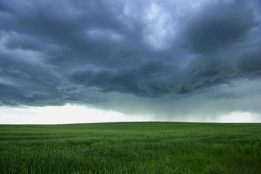 DPI1777144 A Cloudy Sky Over A Field Alberta Canada Poster Print by Don Hammond, 17 x 11