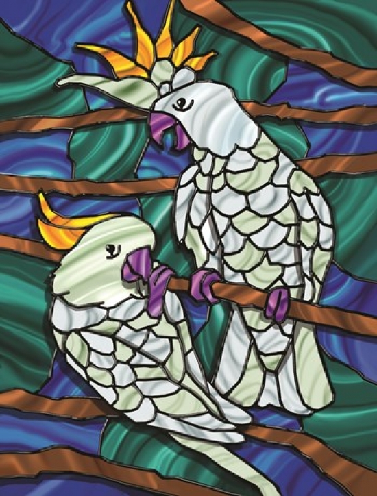 Parrot C Poster Print by Jeff Maraska - 18 x 24 in.