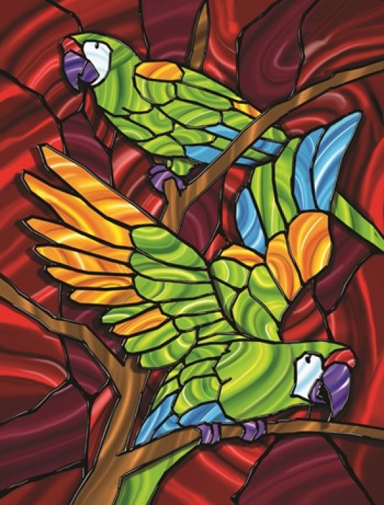 Parrot D Poster Print by Jeff Maraska - 18 x 24 in.