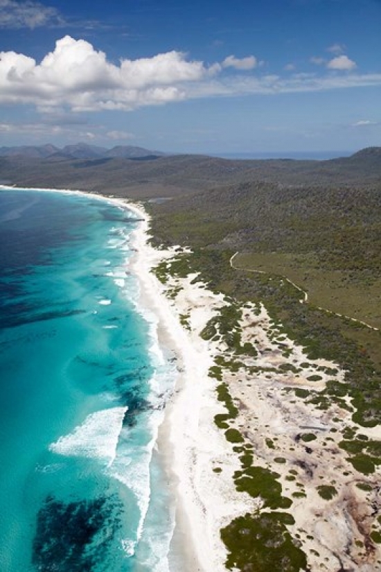 Friendly Beaches Coastline Freycinet Np Australia Poster Print by David Wall - 19 x 29 in.