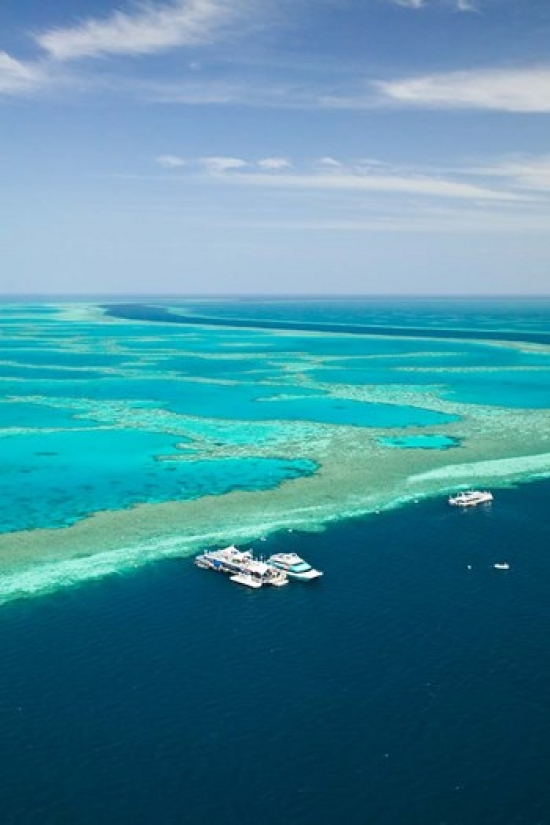 Australia Whitsunday Coast Great Barrier Reef Vertical Poster Print by Walter Bibikow - 17 x 25 in.