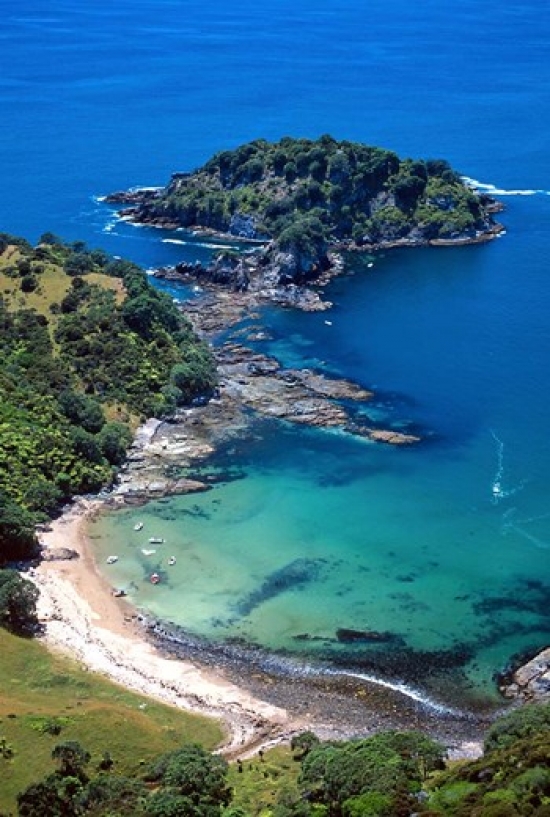 Tapuaetahi Bay Coromandel Peninsula Poster Print by David Wall - 23 x 34 in.