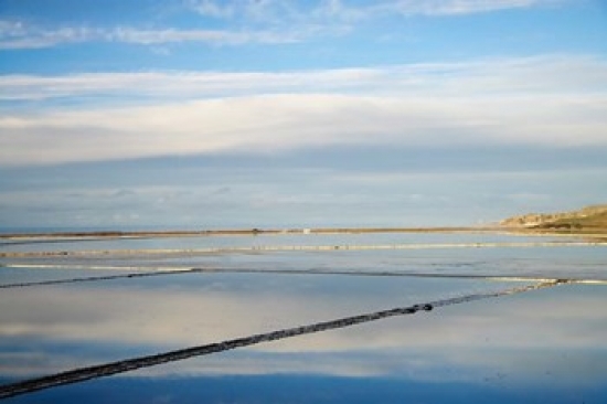 New Zealand South Isl Evaporation Ponds Lake Grassmere Poster Print by David Wall - 34 x 23 in -  BrainBoosters, BR3141554