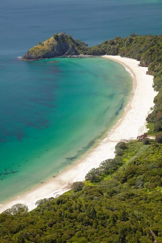 New Chums Beach & Motuto Point Coromandel Peninsula North Island New Zealand Poster Print by David Wall